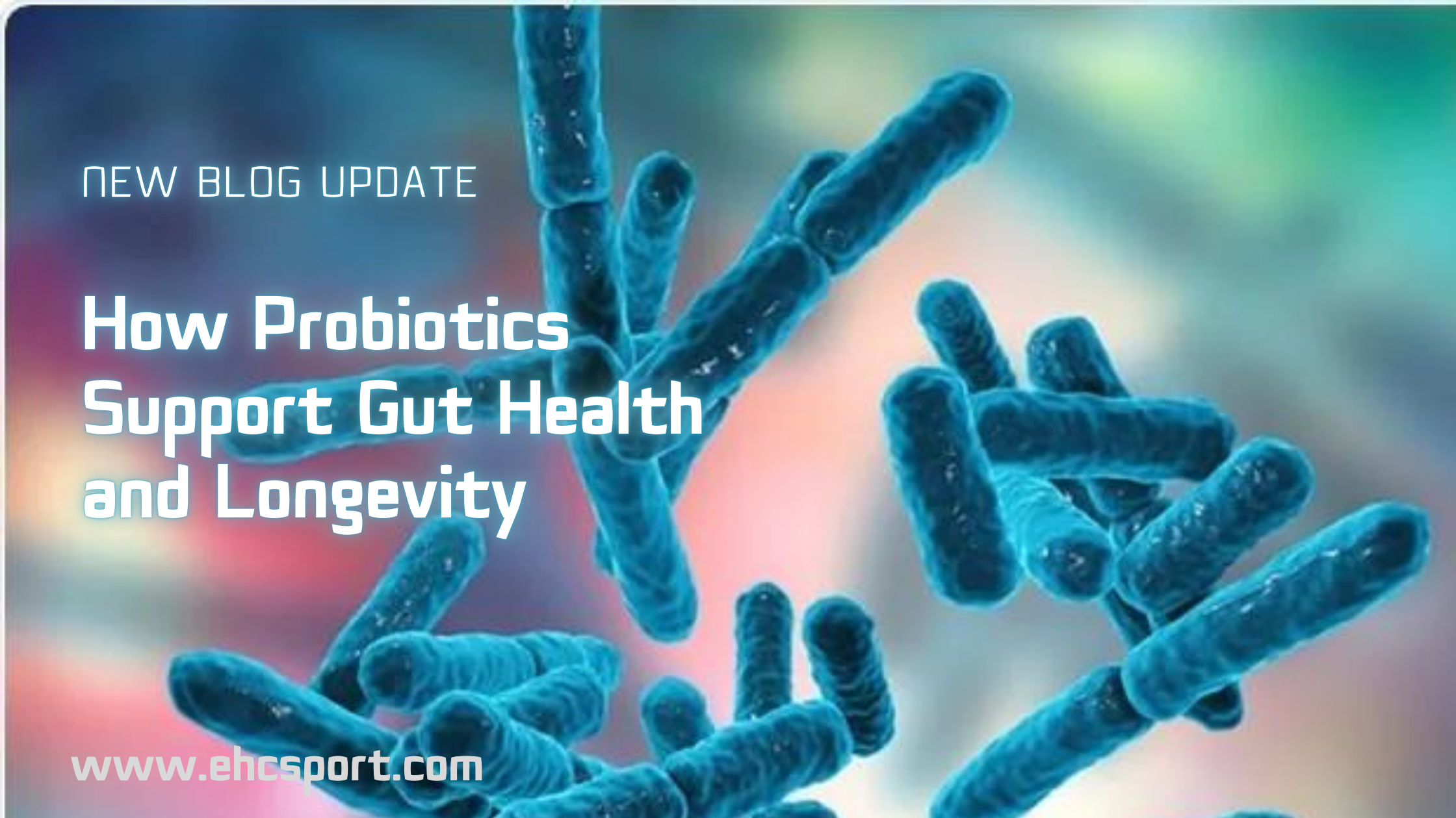 How Probiotics Support Gut Health and Longevity